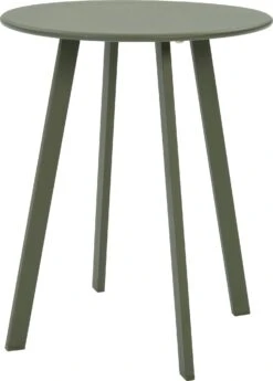 Intratuin Bijzettafel Latte Groen D 40 H 50 Cm