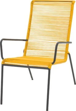 Intratuin Relaxstoel Steef Geel