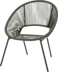 Intratuin Draadstoel Tess Groen