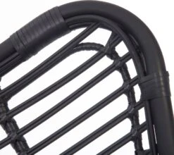 Intratuin Loungestoel Oor Staal Zwart 5 Intratuin Loungestoel Oor Staal Zwart -Tuinmeubel Serie Winkel 8717263356011 3