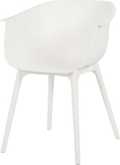 Intratuin Kuipstoel Bo Wit