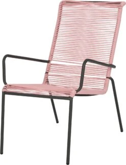 Intratuin Relaxstoel Steef Roze