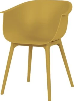 Intratuin Kuipstoel Bo Geel