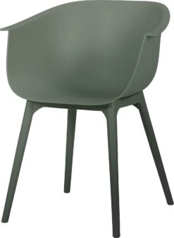 Intratuin Kuipstoel Bo Groen