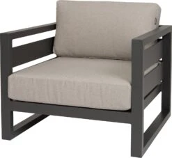 Intratuin Loungestoel Norma Aluminium Antraciet