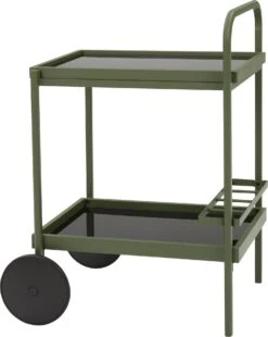 Intratuin Tuintrolley James Groen