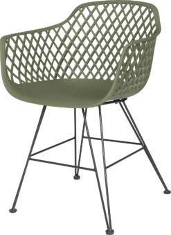 Intratuin Kuipstoel Ava Groen