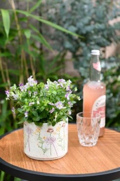 Intratuin Bistroset Lunde Staal Antraciet 10 Intratuin Bistroset Lunde Staal Antraciet -Tuinmeubel Serie Winkel 8720196018307 6