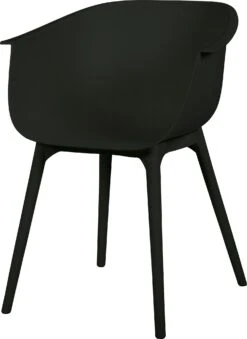 Intratuin Kuipstoel Bo Zwart
