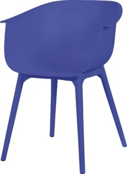 Intratuin Kuipstoel Bo Paars