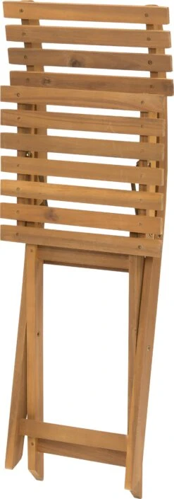 Intratuin Bistroset Naomi Acaciahout -Tuinmeubel Serie Winkel 8720196020942 5 2