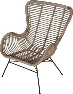 Intratuin Loungestoel Oor Staal Naturel