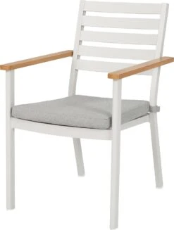 Intratuin 6-zits Diningset Roos Aluminium Grijs 11 Intratuin 6-zits Diningset Roos Aluminium Grijs -Tuinmeubel Serie Winkel 8720196117093 1