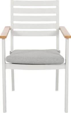 Intratuin 6-zits Diningset Roos Aluminium Grijs 12 Intratuin 6-zits Diningset Roos Aluminium Grijs -Tuinmeubel Serie Winkel 8720196117093 2 1