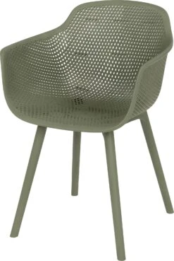 Intratuin Kuipstoel Dex Legergroen