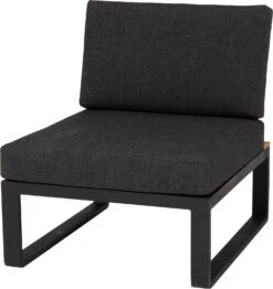 Intratuin Tussenstuk Orfeo Aluminium Zwart