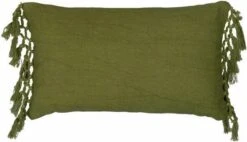 Intratuin sierkussen Agra groen 30 x 50 x cm