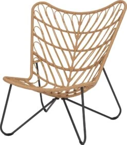 Intratuin Loungestoel Vlinder Staal