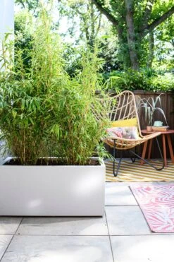 Intratuin Loungestoel Vlinder Staal -Tuinmeubel Serie Winkel 8720196350285 7