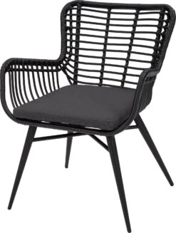 Intratuin Eettafelstoel Bibi Zwart