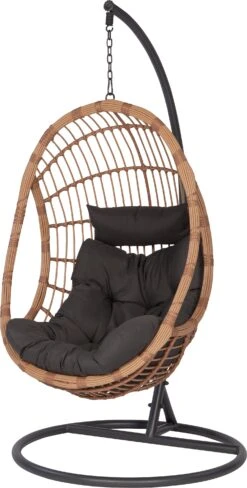 Intratuin Hangstoel In Standaard Evi