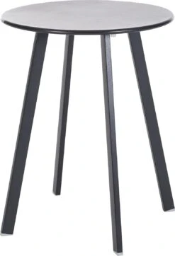 Intratuin Bijzettafel Latte Antraciet D 40 H 50 Cm