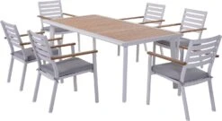 Intratuin 6-zits Diningset Roos Aluminium Grijs