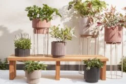 Mica Decorations Tuinbank Elwood Bruin 154 X 50 X 35 Cm -Tuinmeubel Serie Winkel 8720362012634 06